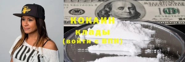 ГАЛЛЮЦИНОГЕННЫЕ ГРИБЫ Арсеньев
