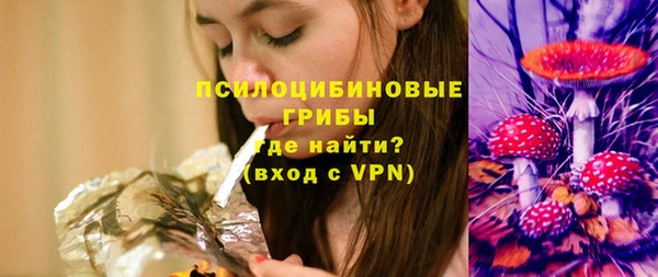 дурь Аркадак