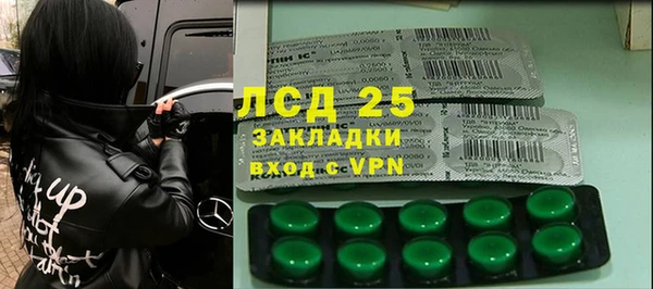 ГАЛЛЮЦИНОГЕННЫЕ ГРИБЫ Арсеньев